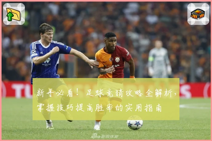 新手必看！足球竞猜攻略全解析，掌握技巧提高胜率的实用指南