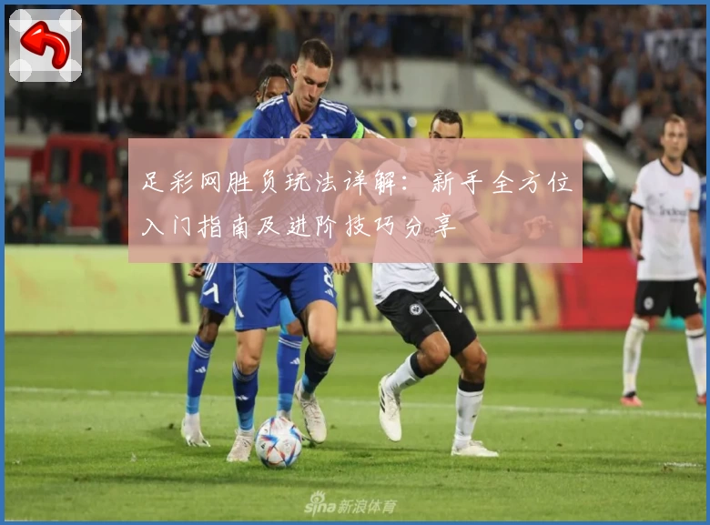 足彩网胜负玩法详解：新手全方位入门指南及进阶技巧分享