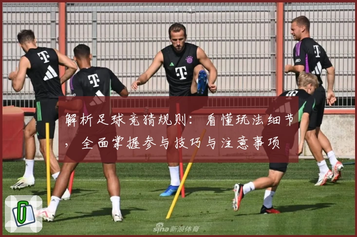 解析足球竞猜规则：看懂玩法细节，全面掌握参与技巧与注意事项
