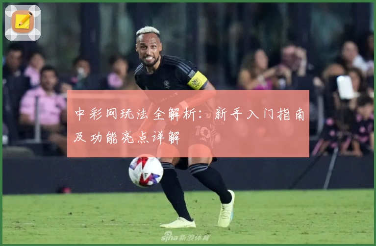 中彩网玩法全解析：新手入门指南及功能亮点详解