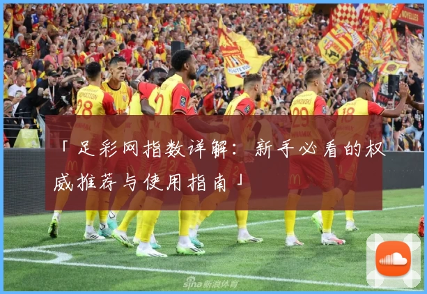 「足彩网指数详解：新手必看的权威推荐与使用指南」