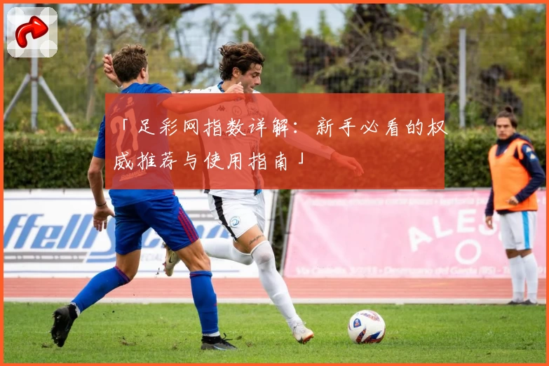「足彩网指数详解：新手必看的权威推荐与使用指南」