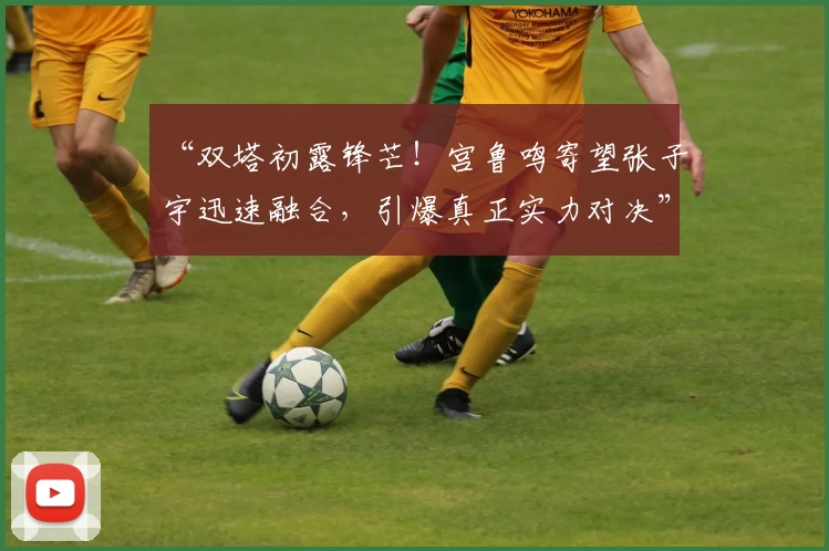 “双塔初露锋芒！宫鲁鸣寄望张子宇迅速融合，引爆真正实力对决”
