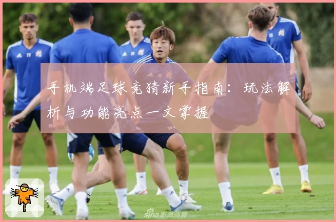 手机端足球竞猜新手指南：玩法解析与功能亮点一文掌握